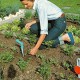Φυτευτήρι Χειρός Gardena (3487-20)