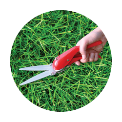 Ψαλίδι χλόης BENMAN 330mm 77048