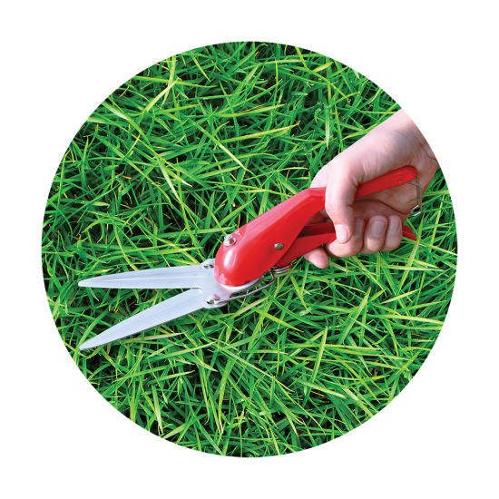 Ψαλίδι χλόης BENMAN 330mm 77048