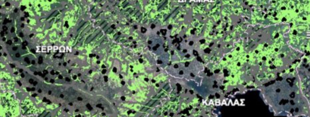 Δασικοί χάρτες: Διόρθωση σφάλματος μετά την κύρωση, χωρίς ούτε ένα ευρώ