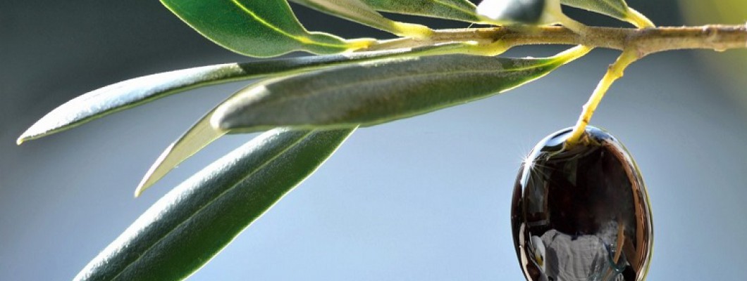 Στους 140.000 τόνους η Καλαμών 1,30 το 200άρι, 40.000 η Κονσερβολιά στα 1,60 τα χοντρά